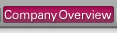 Company Overview