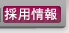 採用情報