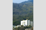 Kobe Pharmaceutical University No.11 [Hyogo]