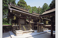 Improvement of earthquake resistance： Takebe-Taisya Shrine Honden・Gonden [Shiga]