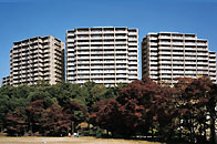 Shin-senri Sakuragaoka Maison City [Osaka]