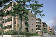 THE HOUSE SUMIYOSHI HOMMACHI  [Hyogo]