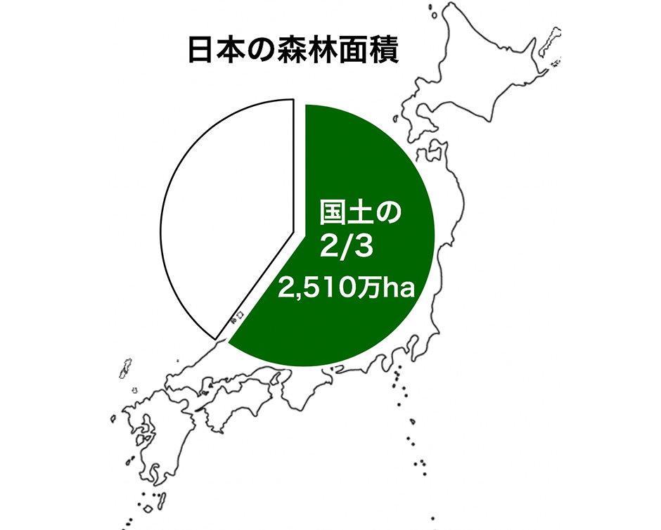 の 割合 日本 森林