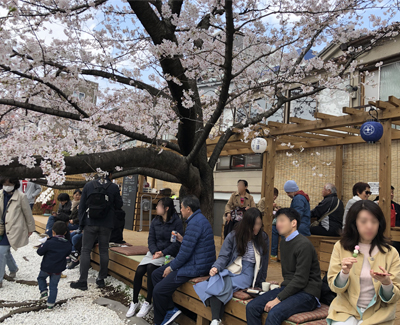 今年3月に、江東区深川地域の大横川沿いにオープンした川床「かわてらす」