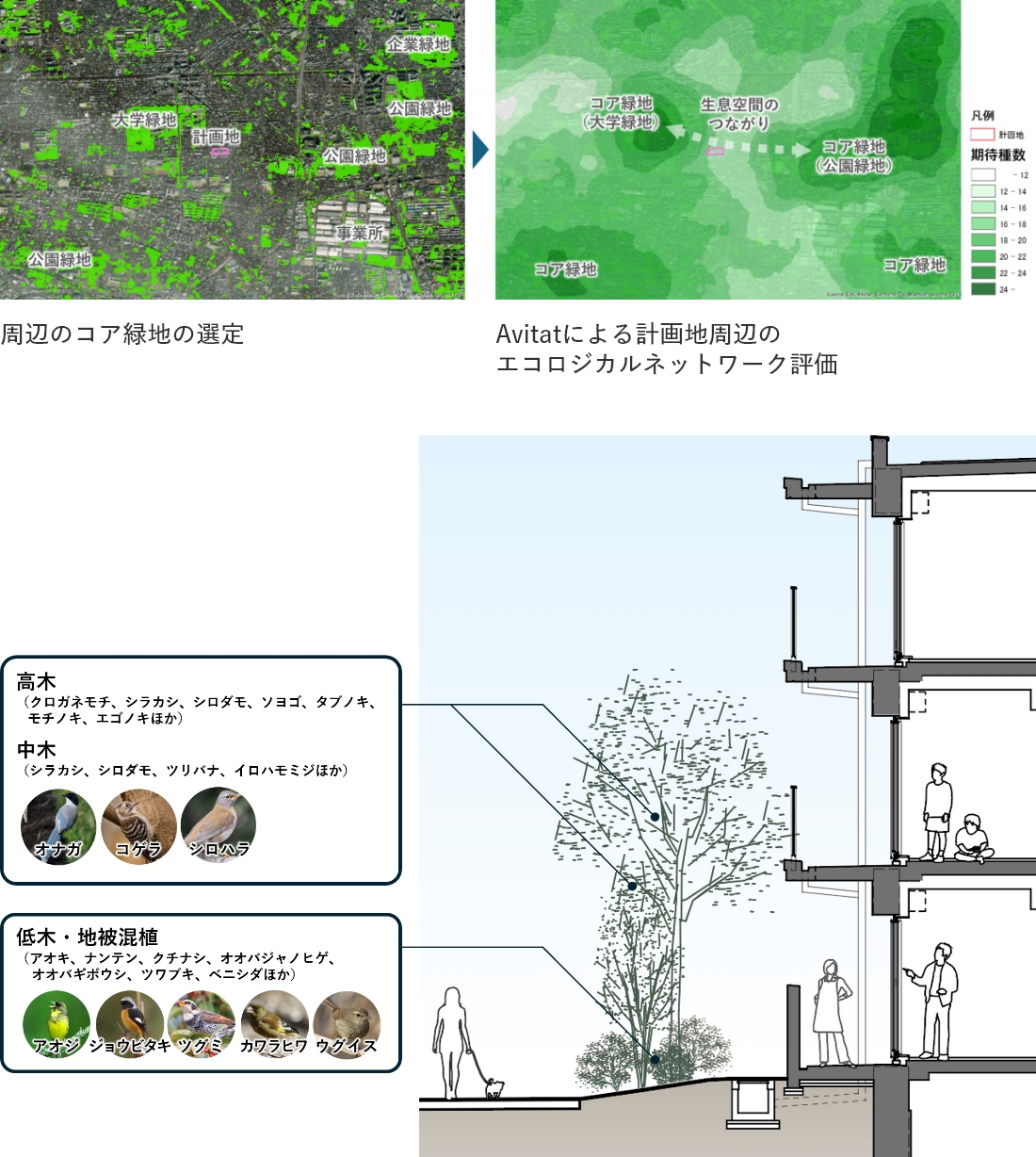 暮らしと地域に寄り添うみどりあさひの杜国立 - 竹中のデザイン｜竹中