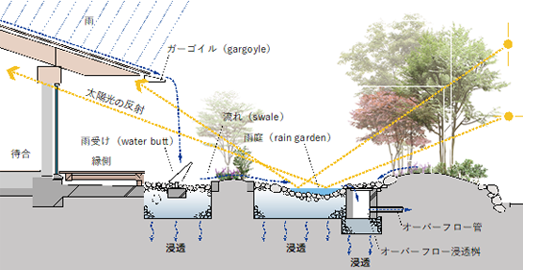 屋根面の雨水を土壌に導く雨水建築