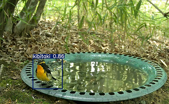 いきものアイ