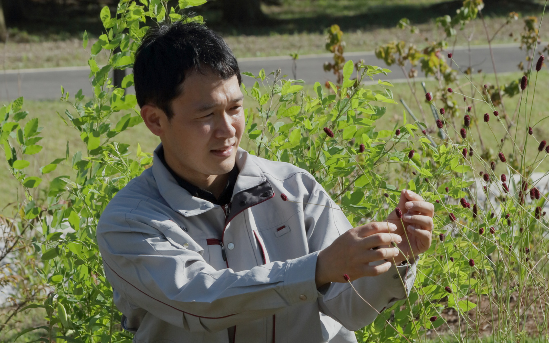 調の森で作業する槌尾