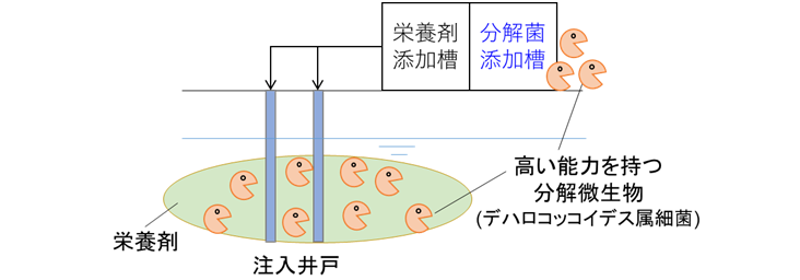 開発技術(バイオオーグメンテーション)の概要図