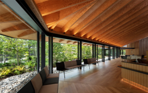 糖尿病みらい(3期)