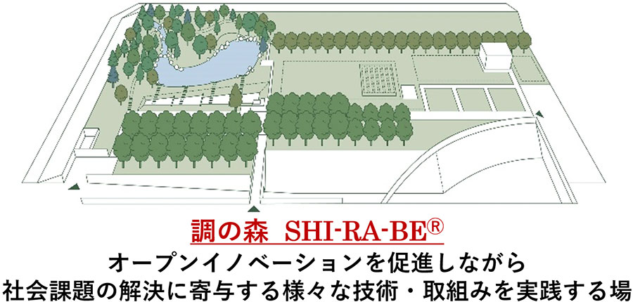 調の森 SHI-RA-BE®