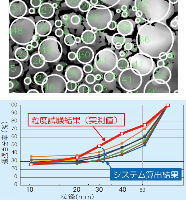 実測値との比較