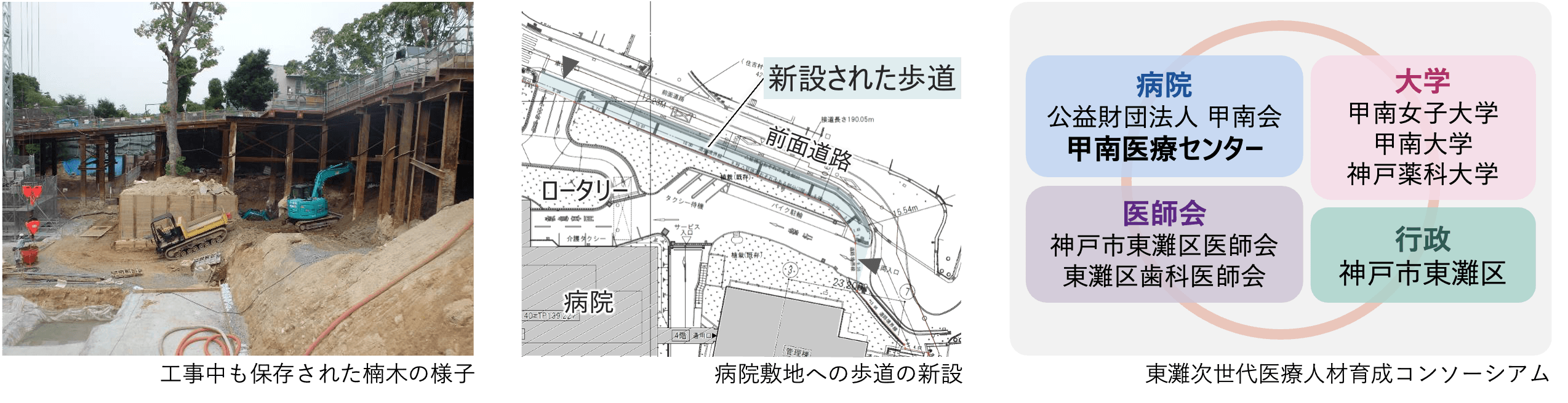 工事中に保存された楠木、新設された歩道の地図、東灘次世代医療人材育成コンソーシアムの関係図