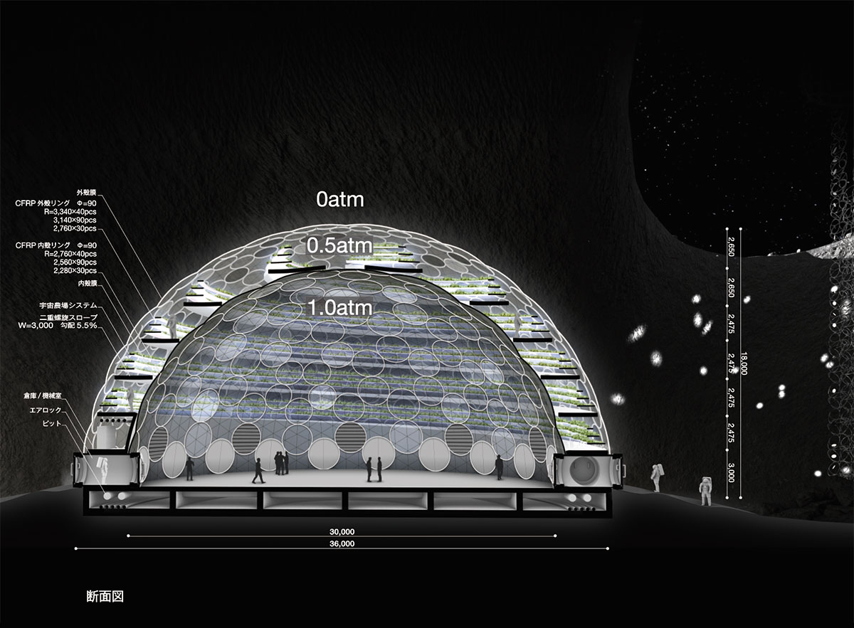 Lunar COSMOS