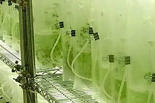 宇宙・フロンティア〜宇宙農場システム技術