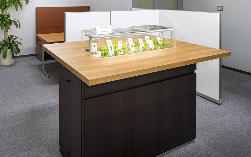 VEGE-TABLE Supports Corporate Health Management