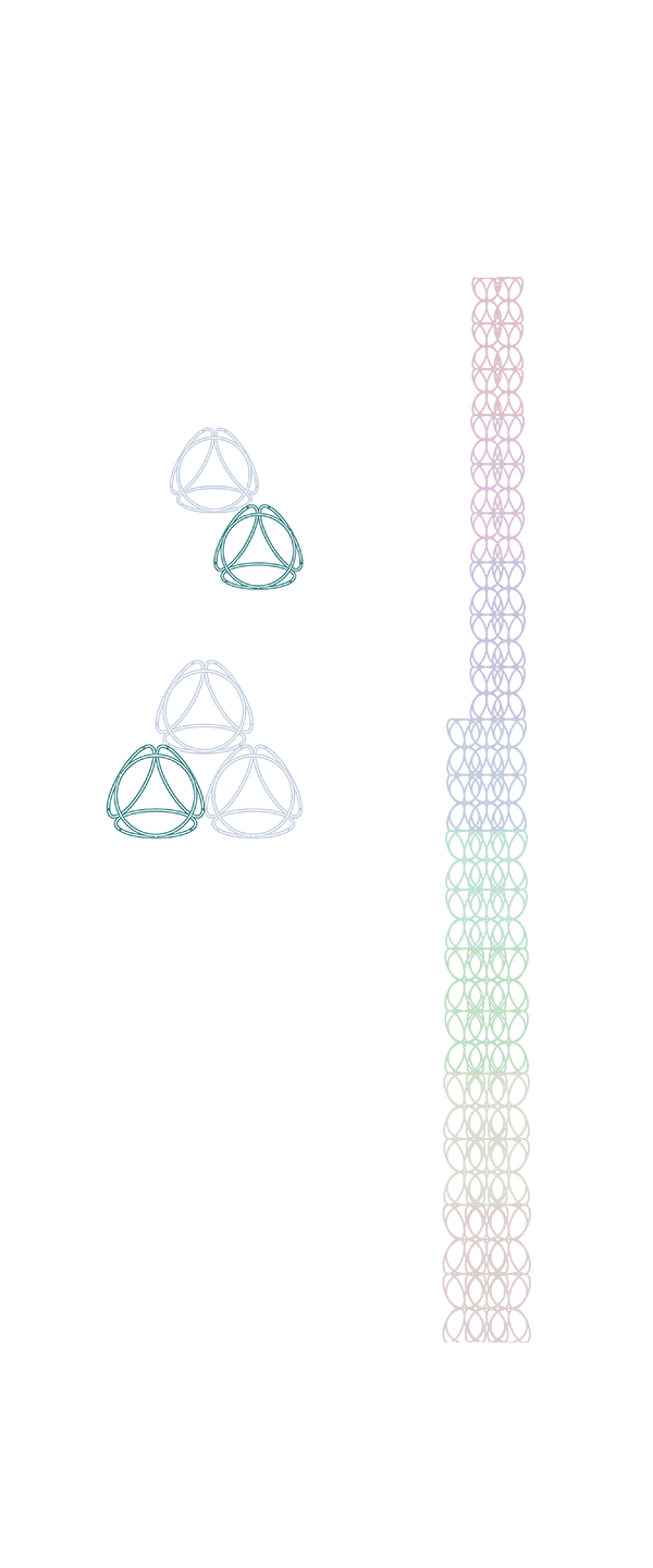 Structure of Lunar TOWER