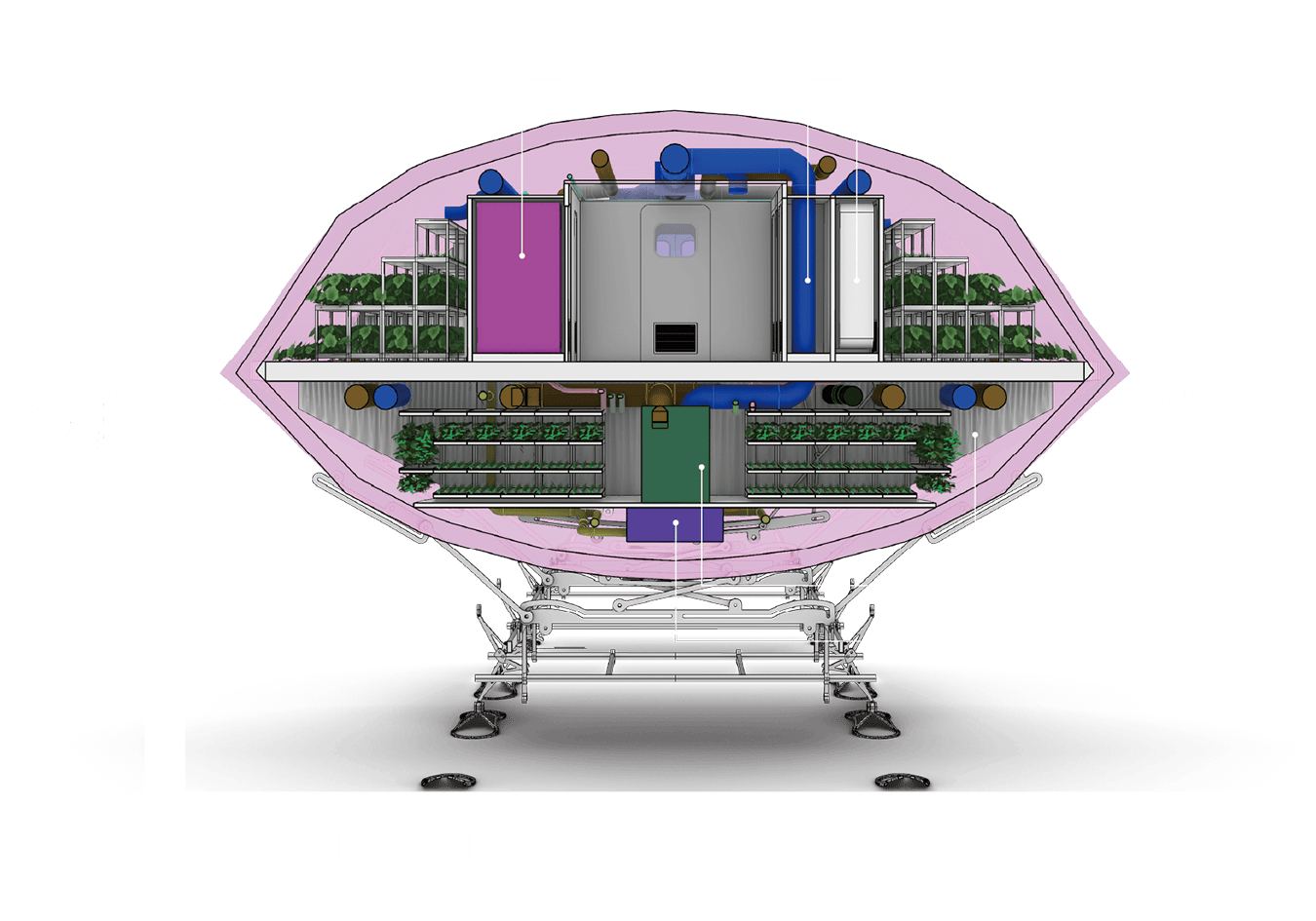 Cross-Sectional View1